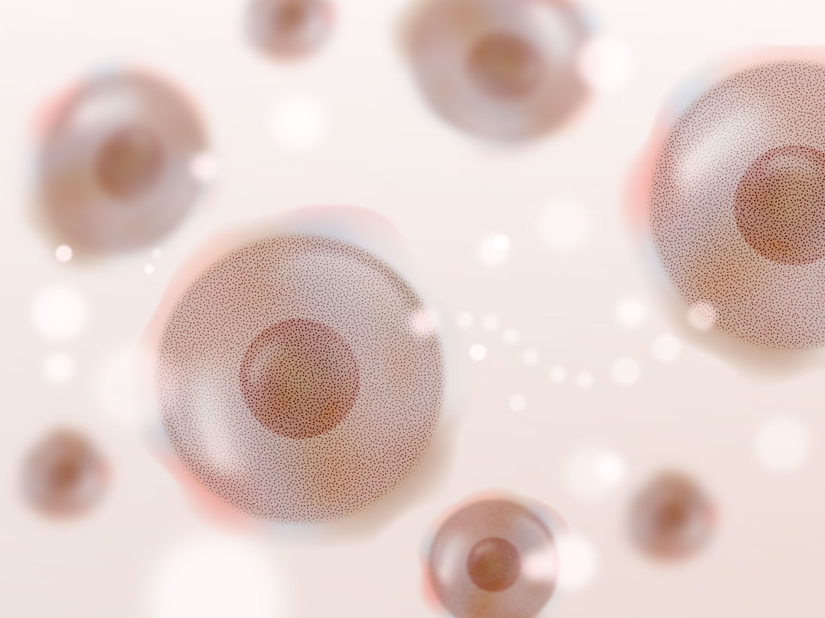 feat0<br />
<b>Warning</b>:  Undefined variable $i in <b>/home/xs171376/reunet.jp/public_html/trial12/wp/wp-content/themes/reutrial/parts/loop_features.php</b> on line <b>20</b><br />
<br />
<b>Warning</b>:  Undefined variable $count in <b>/home/xs171376/reunet.jp/public_html/trial12/wp/wp-content/themes/reutrial/parts/loop_features.php</b> on line <b>20</b><br />
2